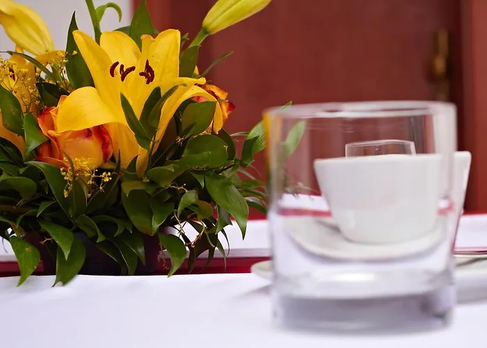 Guest house Donet 3*